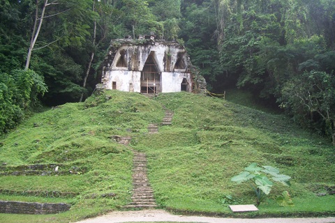 100_2430.jpg