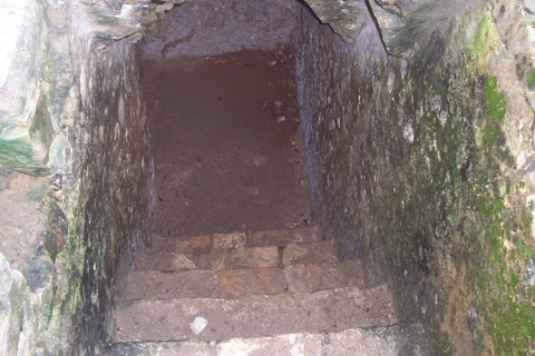 100_2446.jpg