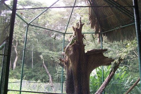 Picture 074.jpg