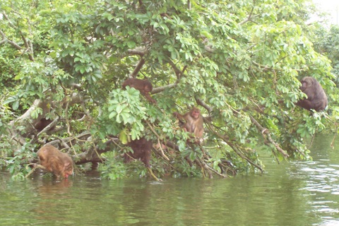 Picture 080.jpg